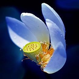 《远征：泥泞奔驰》金属探测器和雷达 3月5日发售